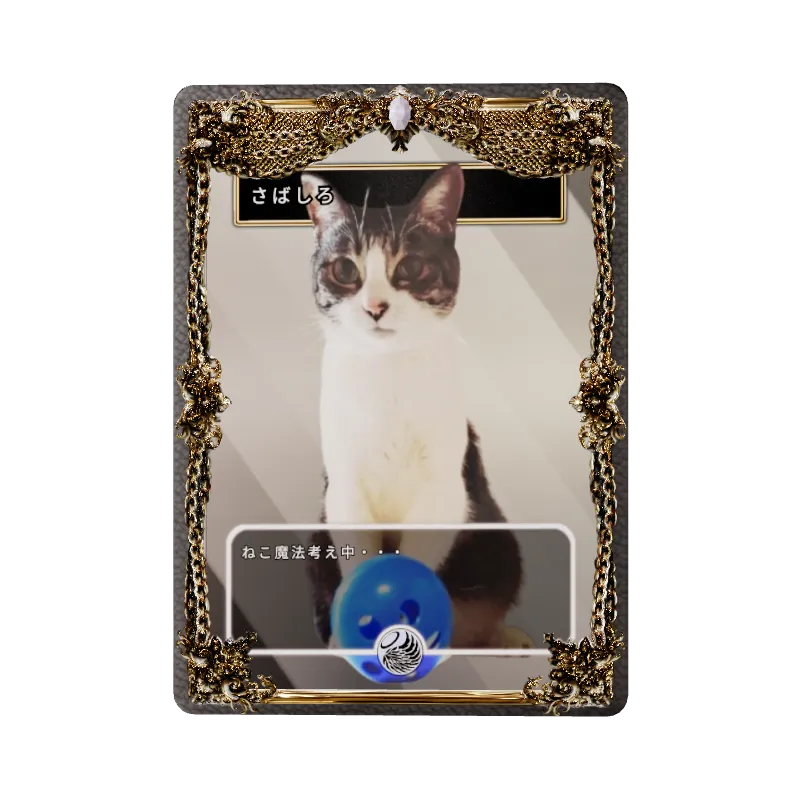 さばしろのイメージ画像