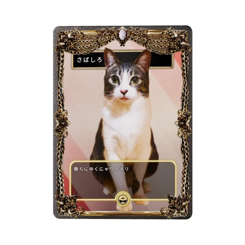 さばしろのイメージ画像