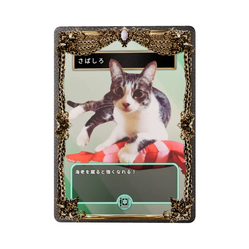 さばしろのイメージ画像