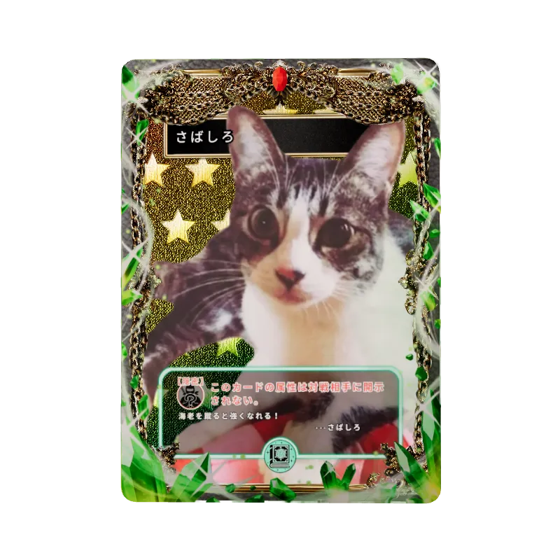 さばしろのイメージ画像