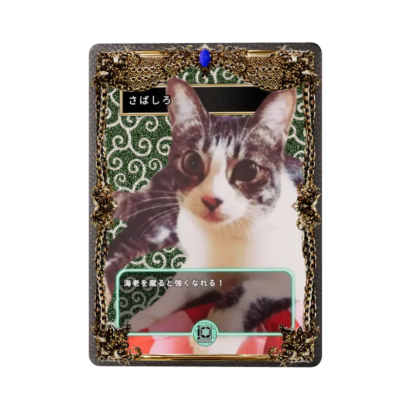 さばしろのイメージ画像